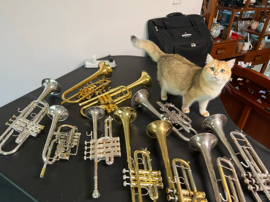 Trumpets