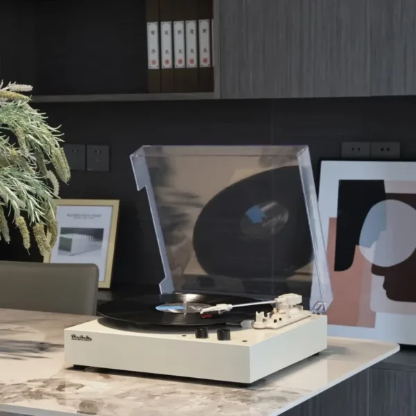 Portable Vinyl Vintage Record Player with Bluetooth 5.1